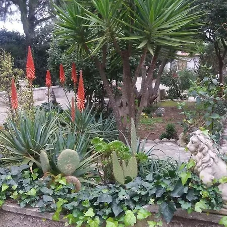 Essentia Dimora Salento - Laurus レッチェ